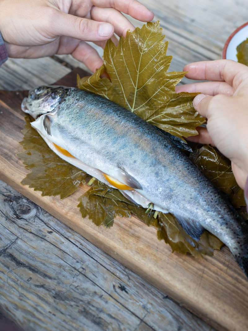 <h1>Spit-Roasted Trout in Grape Leaves with Morels, Carrots and Fennel</h1>