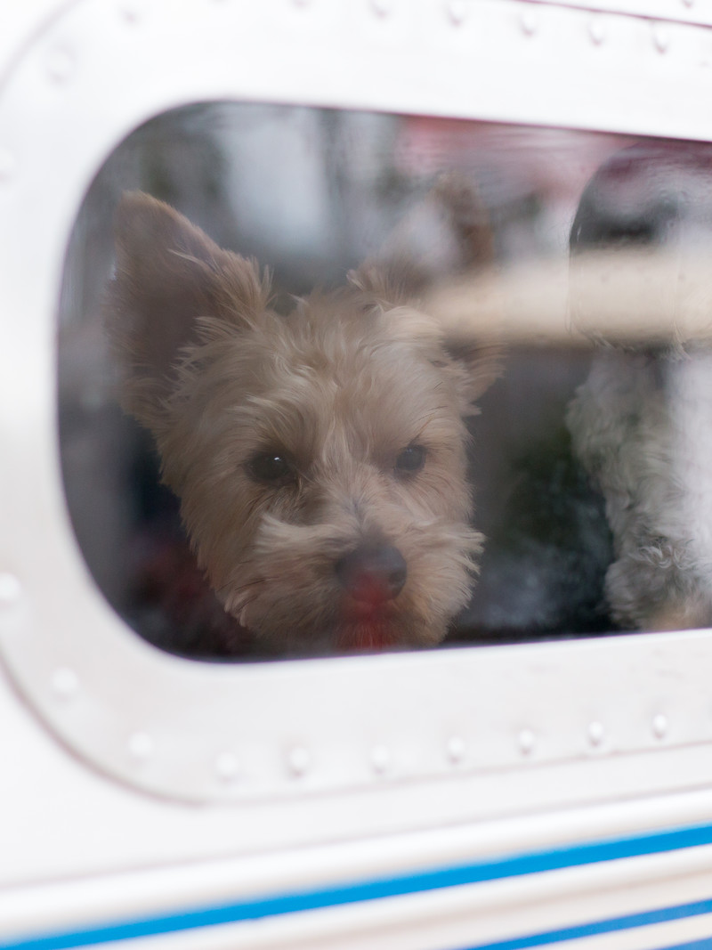 <h1>Window to Miramar Beach, FL</h1>