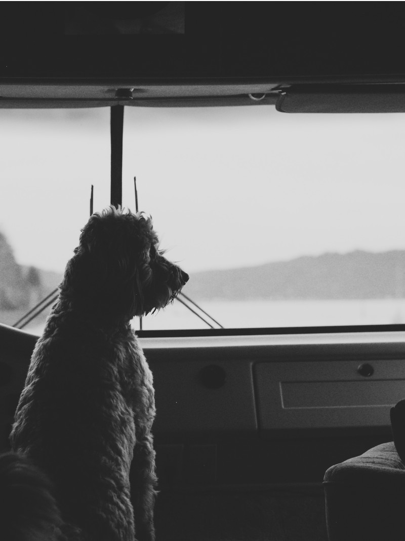 <h1>Window to Hood Canal, WA</h1>
